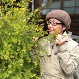 何品誼 講師